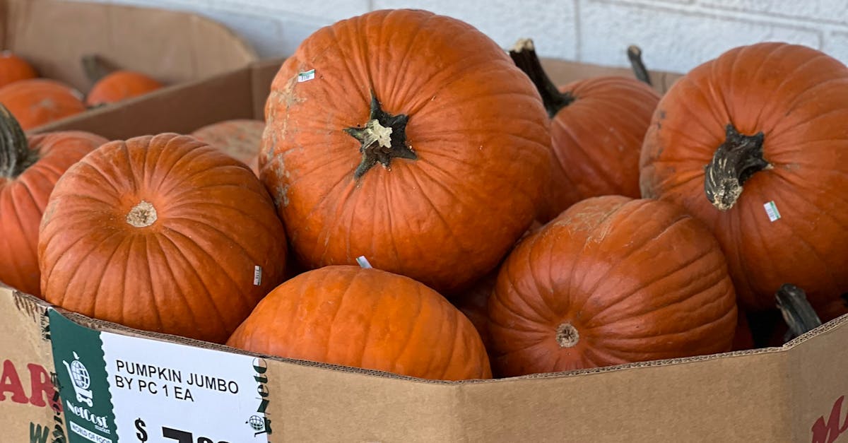 Giant Eagle Thanksgiving Hours 2024: What You Need to Know About Holiday Store Times