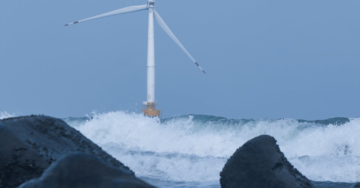 Shell Unveils Major Offshore Wind Project as Part of 2024 Green Energy Strategy