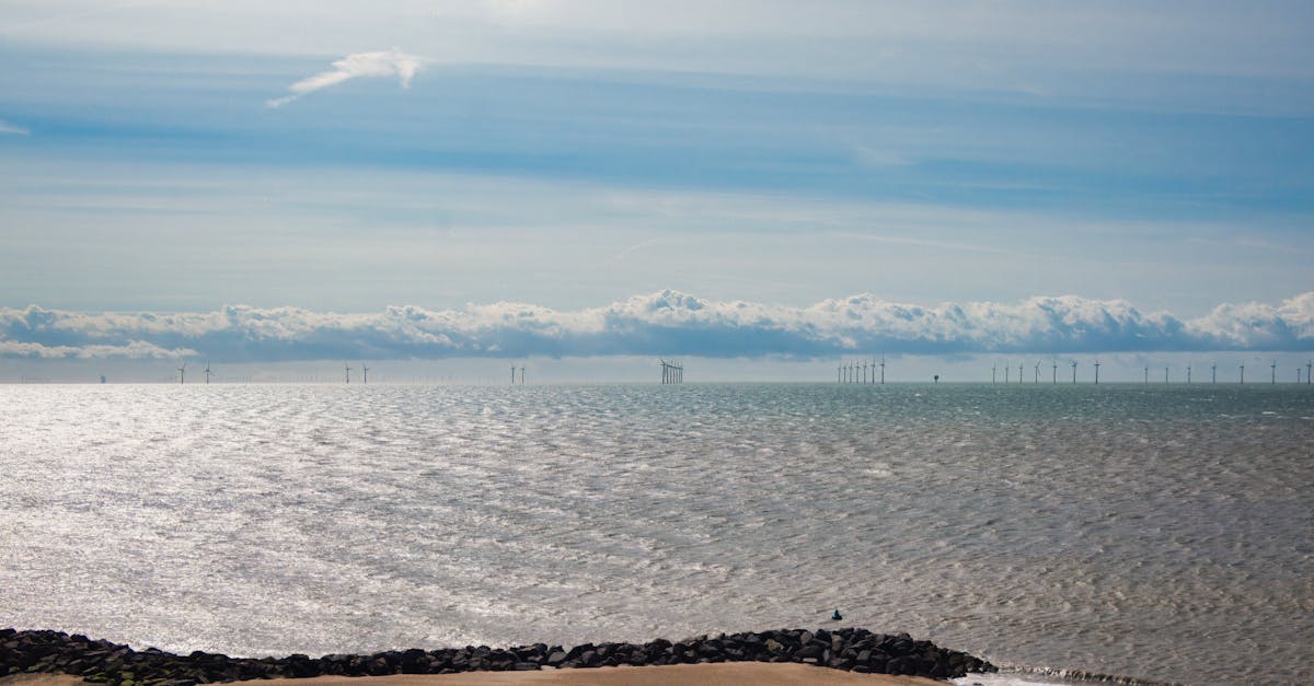 Shell Expands US Offshore Wind Projects Amid Growing Renewable Energy Demand