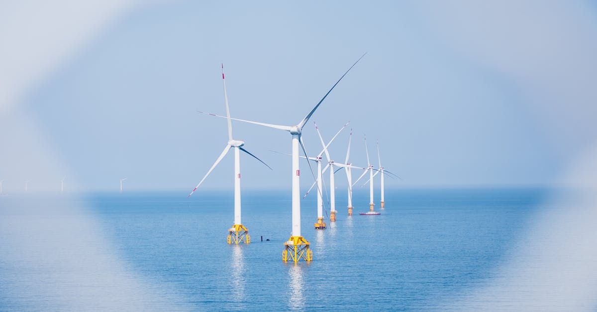 Shell Expands Renewable Energy Push as Global Markets Shift in 2024
