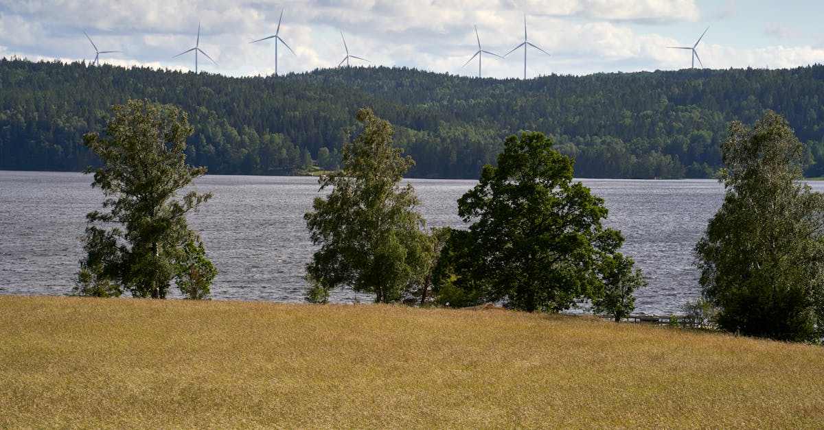 Shell Unveils Major Shift Toward Renewable Energy Amid Market Changes