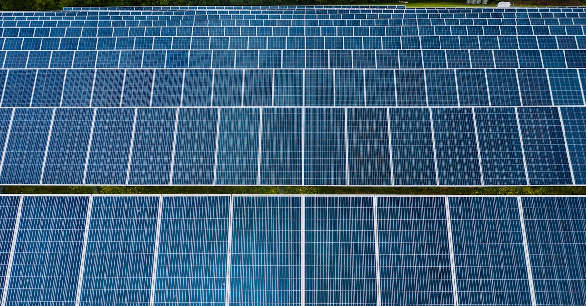Shell Unveils New Renewable Energy Projects as It Scales Back Fossil Fuels